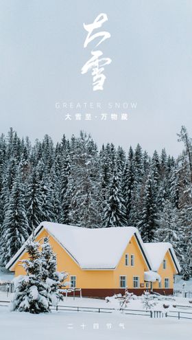 编号：04238510011110499645【酷图网】源文件下载-大雪海报