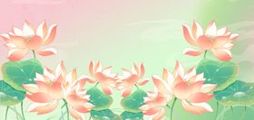 免扣荷花