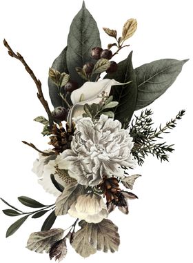 装饰花png