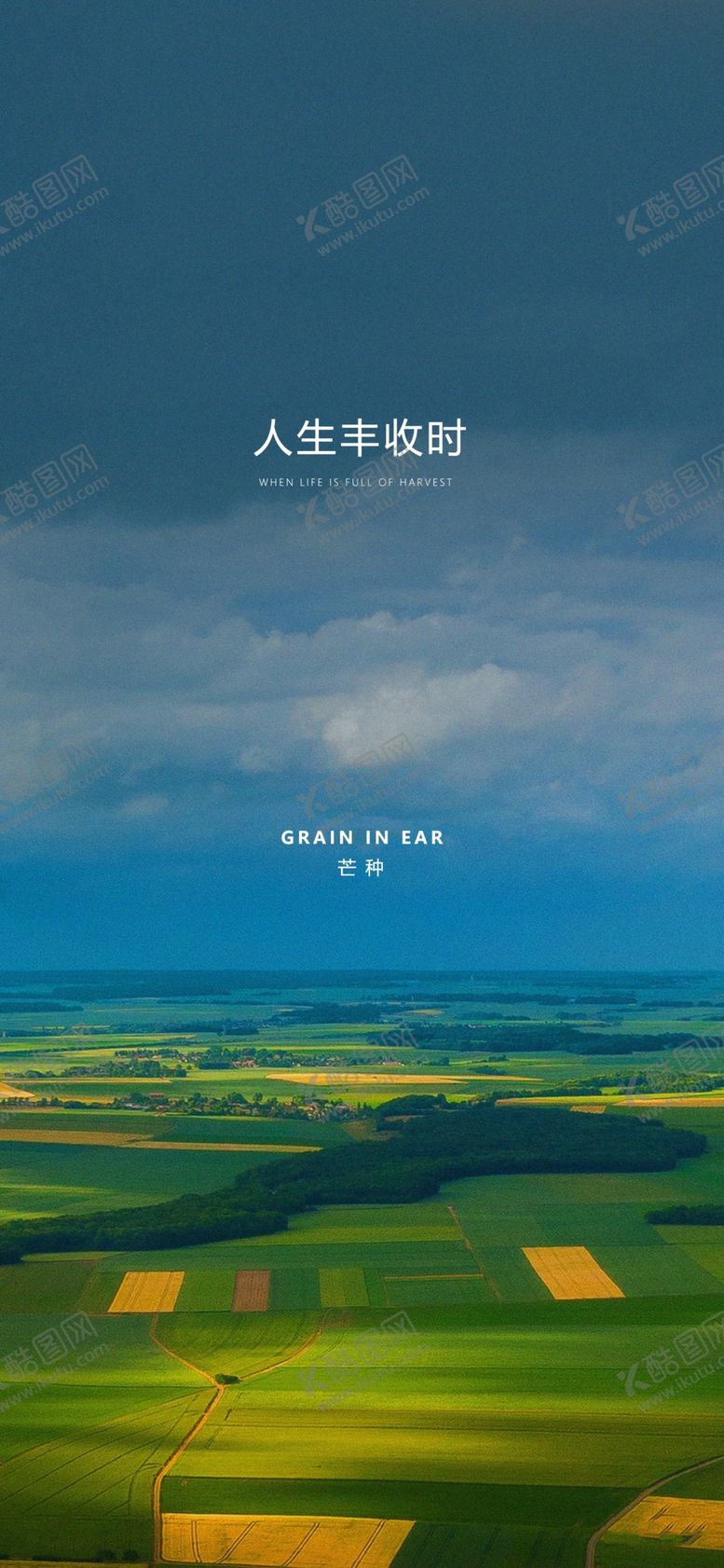 编号：67624402051857066059【酷图网】源文件下载-芒种节气海报
