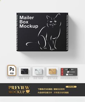 手绘猫飞机盒收纳盒俯视角样机