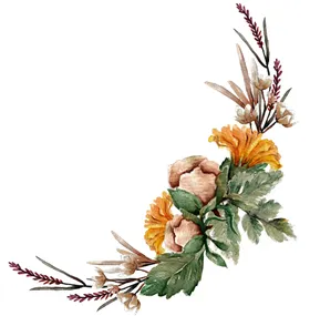 手绘花卉叶子草PNG