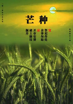 芒种
