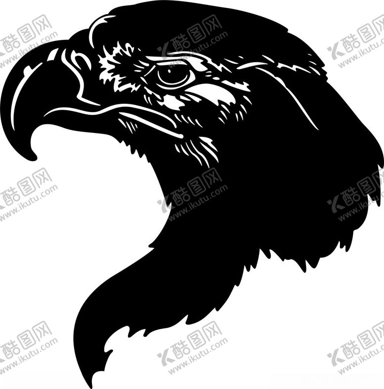 编号：33077502162313202731【酷图网】源文件下载-手绘鸟类插画