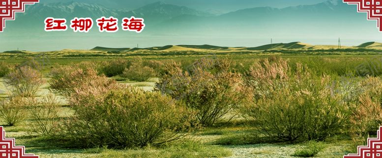 编号：96106606241211416645【酷图网】源文件下载-红柳