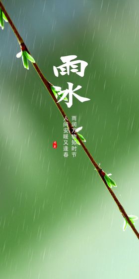 植物发芽创意图片