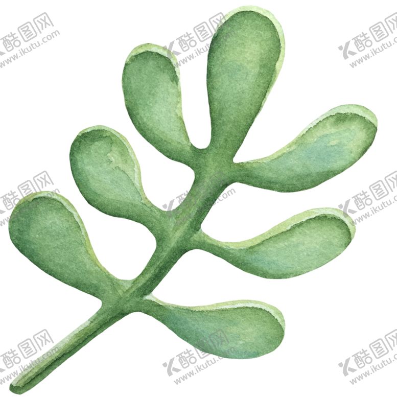 编号：69800707070043354510【酷图网】源文件下载-手绘植物