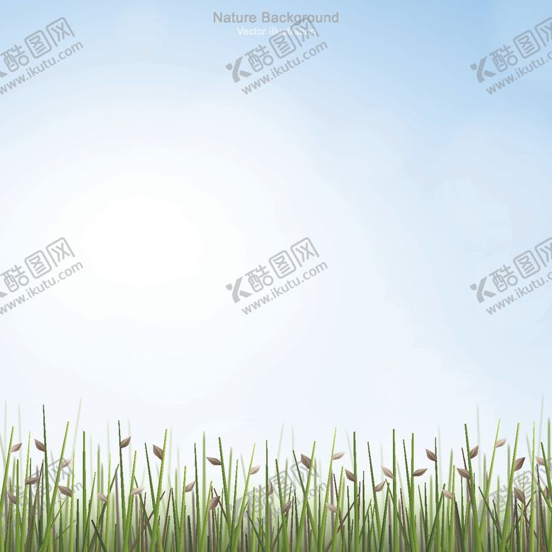 编号：83704009280447021015【酷图网】源文件下载-绿叶背景