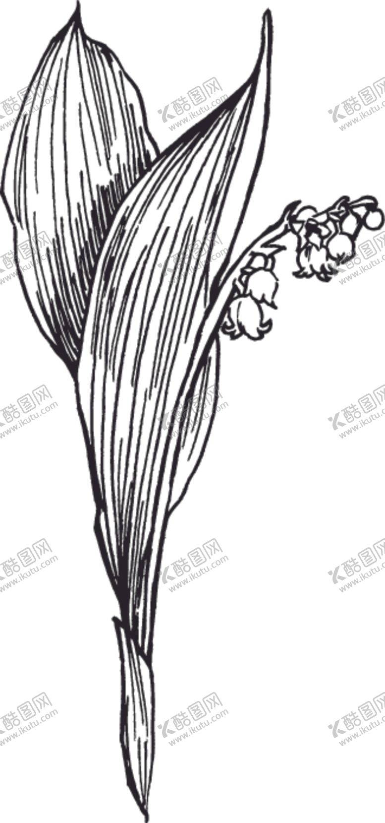 编号：30565006272209506593【酷图网】源文件下载-素描鲜花