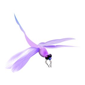 蜻蜓