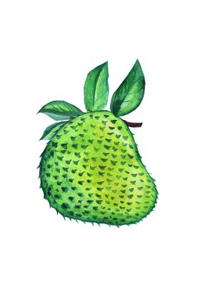 水果蔬菜彩图片免抠