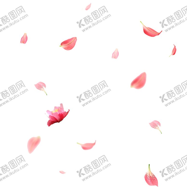 编号：74707609191228287011【酷图网】源文件下载-手绘植物花卉