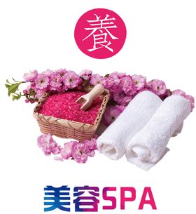 养生