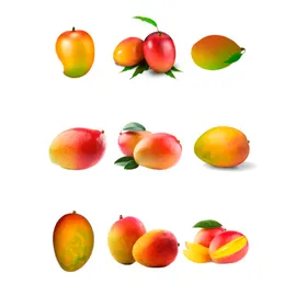 芒果