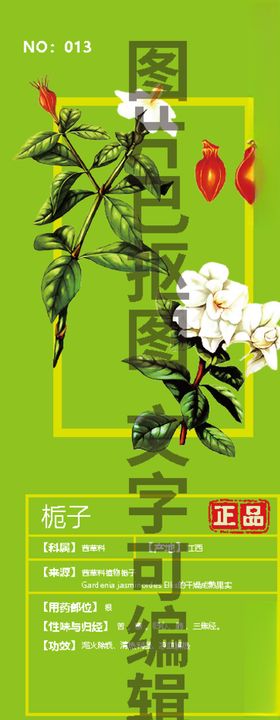 栀子