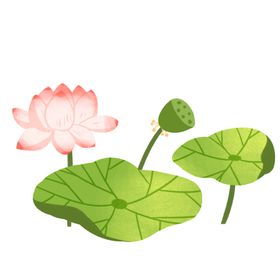 手绘荷花夏日素材古风叶素材