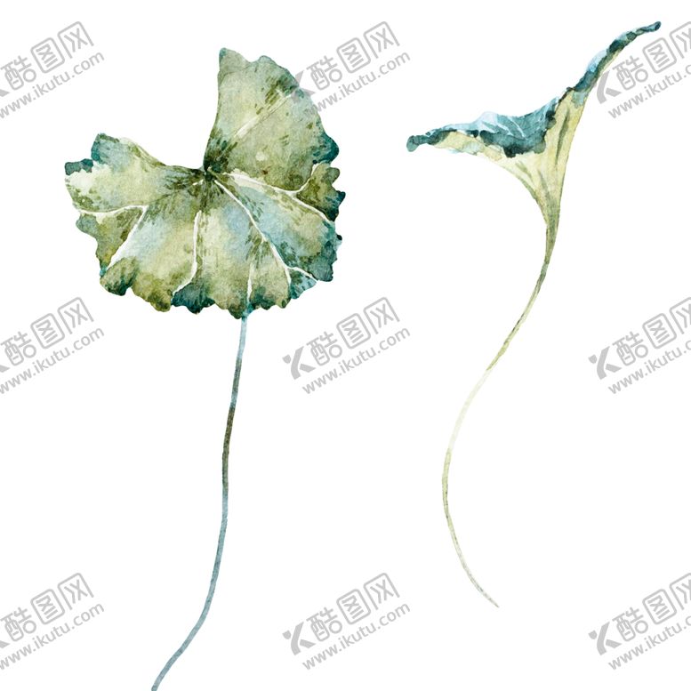 编号：63665810062107528459【酷图网】源文件下载-水彩植物