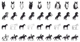 骏马图案集