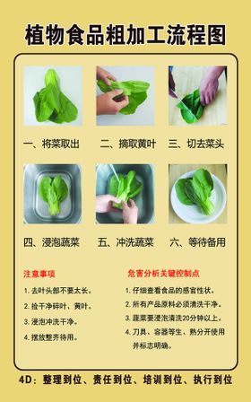 动植物食品粗加工流程图