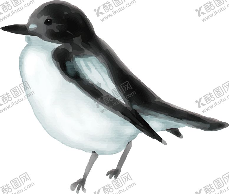 编号：50900909241835575176【酷图网】源文件下载-燕子素材