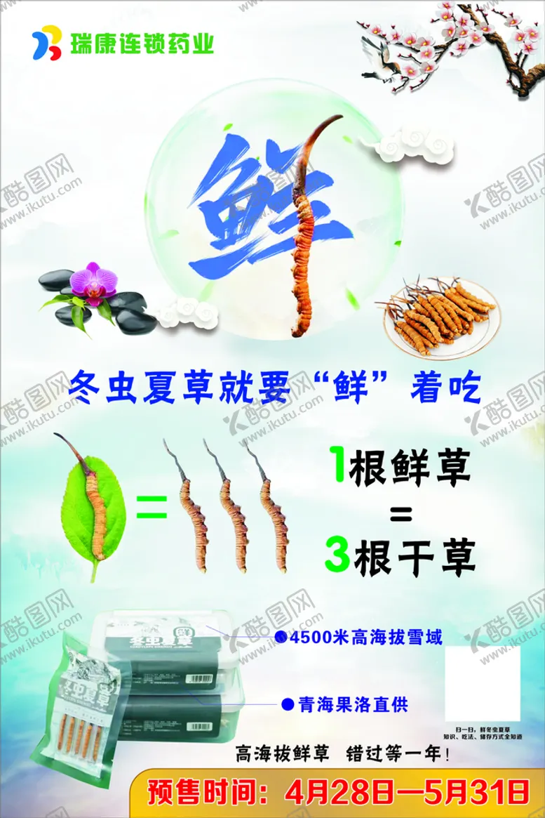编号：97359102161137229249【酷图网】源文件下载-冬虫夏草