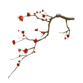 梅花树枝元素