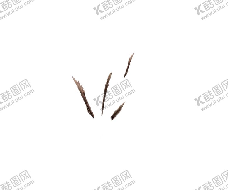 编号：29994209090909407104【酷图网】源文件下载-芦苇