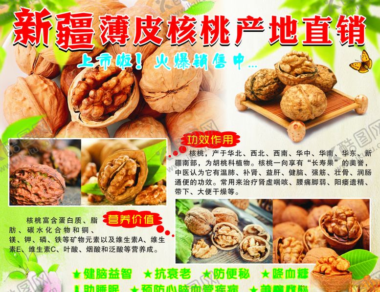 编号：63806010281928319971【酷图网】源文件下载-核桃广告