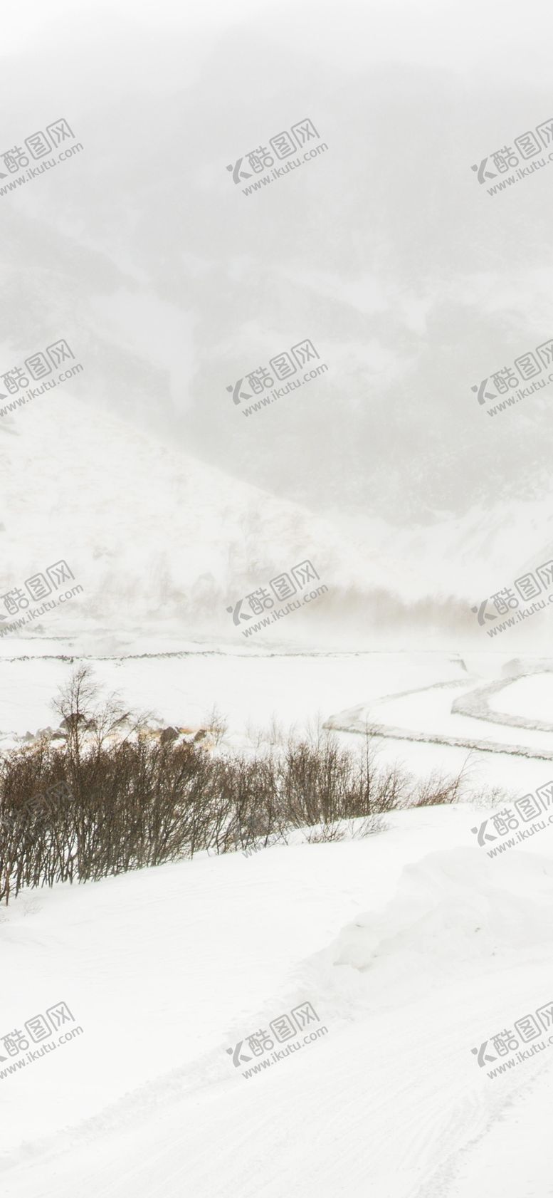 编号：66126409261143367835【酷图网】源文件下载-手机壁纸