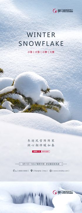 大寒小寒小雪大雪系列海报