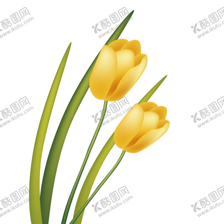 编号：26768905191037287563【酷图网】源文件下载-鲜花素材
