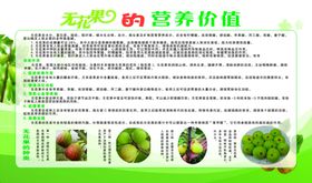 无花果的营养价值展板psd分层