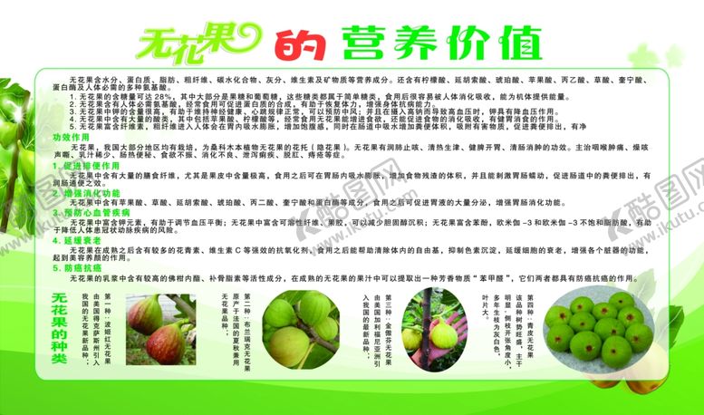 编号：32807007070922495309【酷图网】源文件下载-无花果的营养价值展板psd分层
