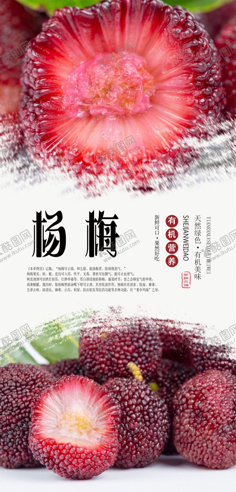 编号：33961007060746346417【酷图网】源文件下载-杨梅PSD分层海报