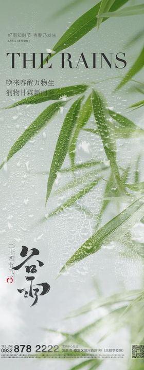 谷雨雨水节气海报