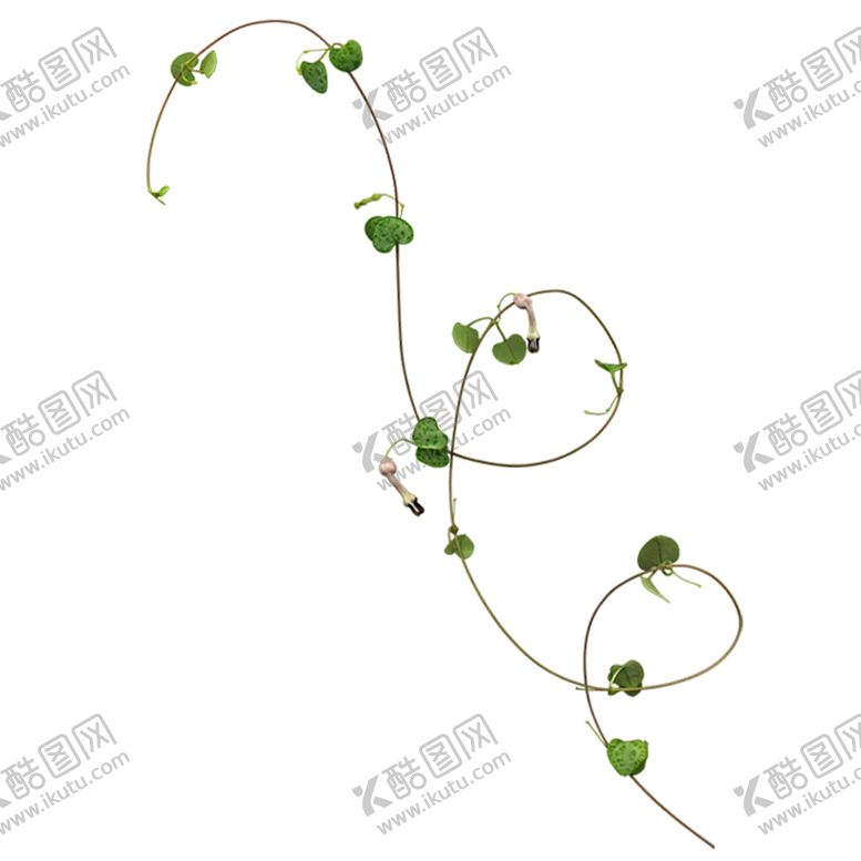 编号：38678710191547182159【酷图网】源文件下载-绿色植物