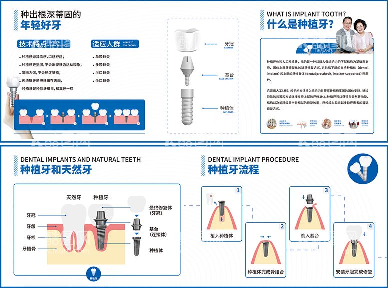 编号：20925411261453104314【酷图网】源文件下载-种植牙知识点诊室贴纸