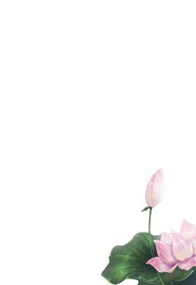 荷花元素