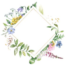 水彩植物花朵装饰