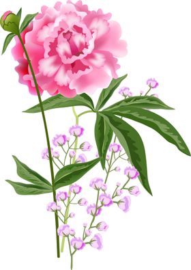 写实花卉鲜水彩朵素材插画彩色