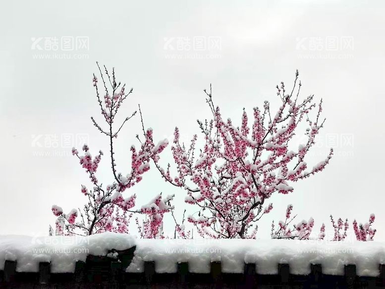 编号：43865209181041395940【酷图网】源文件下载-雪后初晴