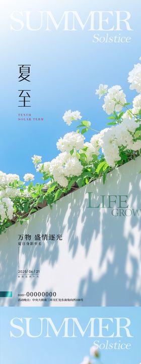 夏至风景节气海报