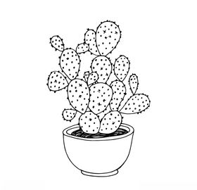 植物线稿