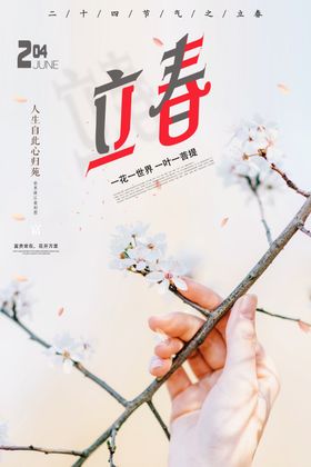 淡雅立春海报