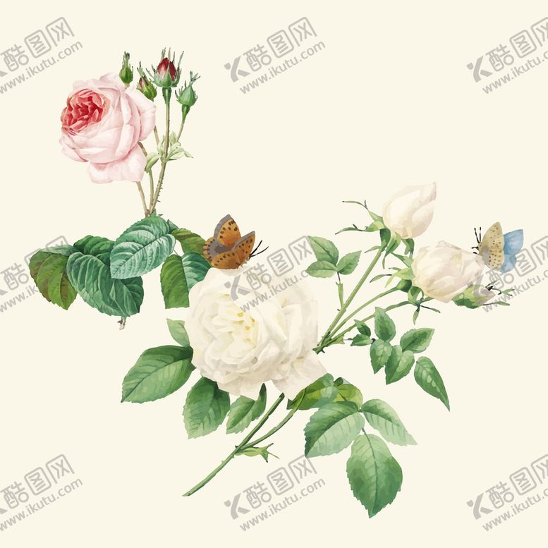 编号：38814110272054138861【酷图网】源文件下载-手绘玫瑰花矢量素材