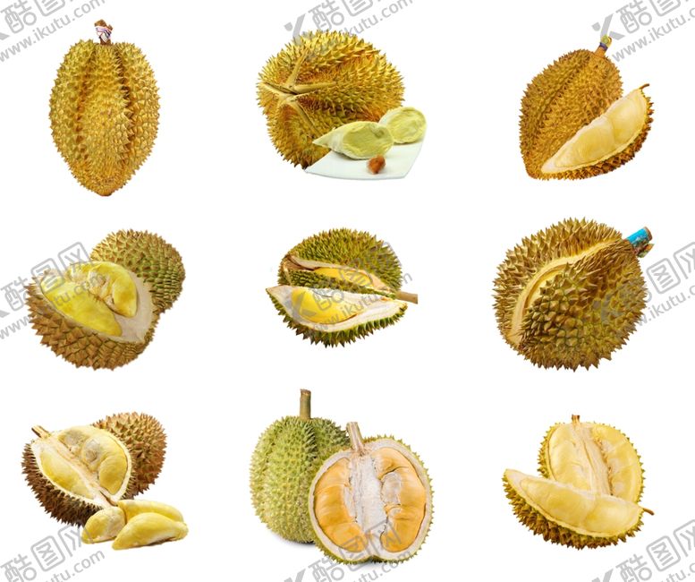 编号：71191310281309584570【酷图网】源文件下载-榴莲