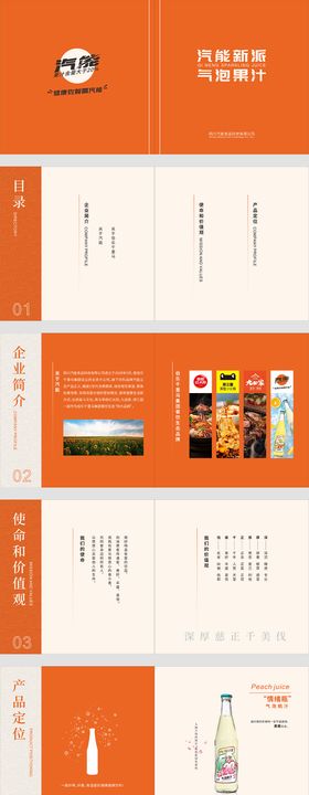 汽水产品画册