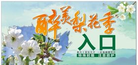 梨花节