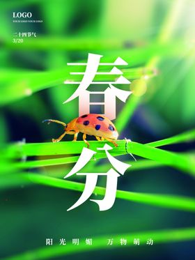 春分单张地产微博季