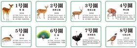 动物养殖